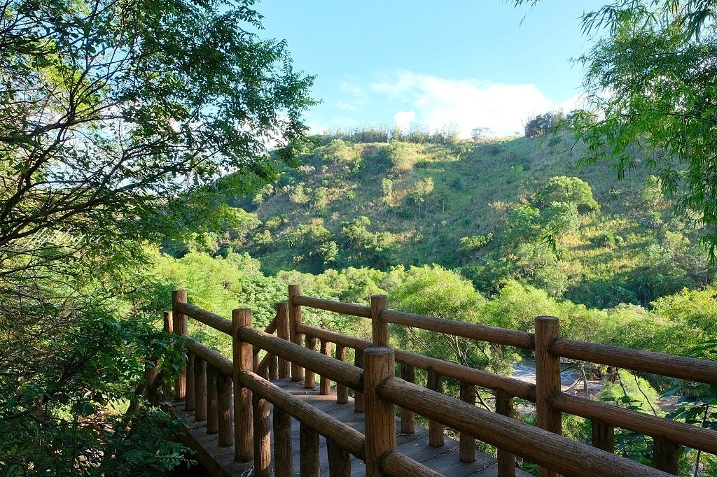 台中龍井｜竹坑南寮登山步道．全長5500公尺古道，享受山林鬱鬱蔥蔥遼闊視野 @飛天璇的口袋