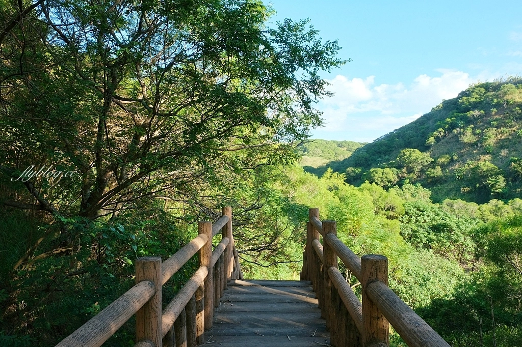 台中龍井｜竹坑南寮登山步道．全長5500公尺古道，享受山林鬱鬱蔥蔥遼闊視野 @飛天璇的口袋