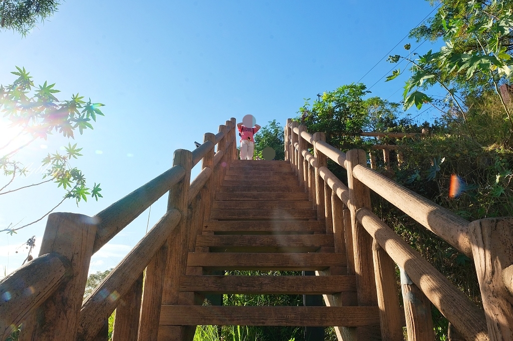 台中龍井｜竹坑南寮登山步道．全長5500公尺古道，享受山林鬱鬱蔥蔥遼闊視野 @飛天璇的口袋