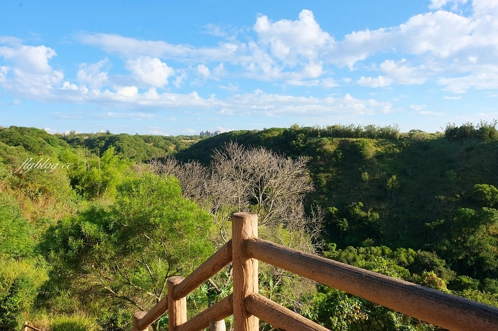 台中龍井｜竹坑南寮登山步道．全長5500公尺古道，享受山林鬱鬱蔥蔥遼闊視野 @飛天璇的口袋
