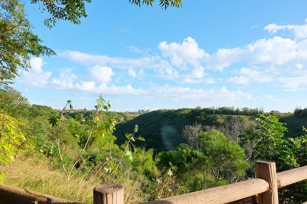 台中龍井｜竹坑南寮登山步道．全長5500公尺古道，享受山林鬱鬱蔥蔥遼闊視野 @飛天璇的口袋
