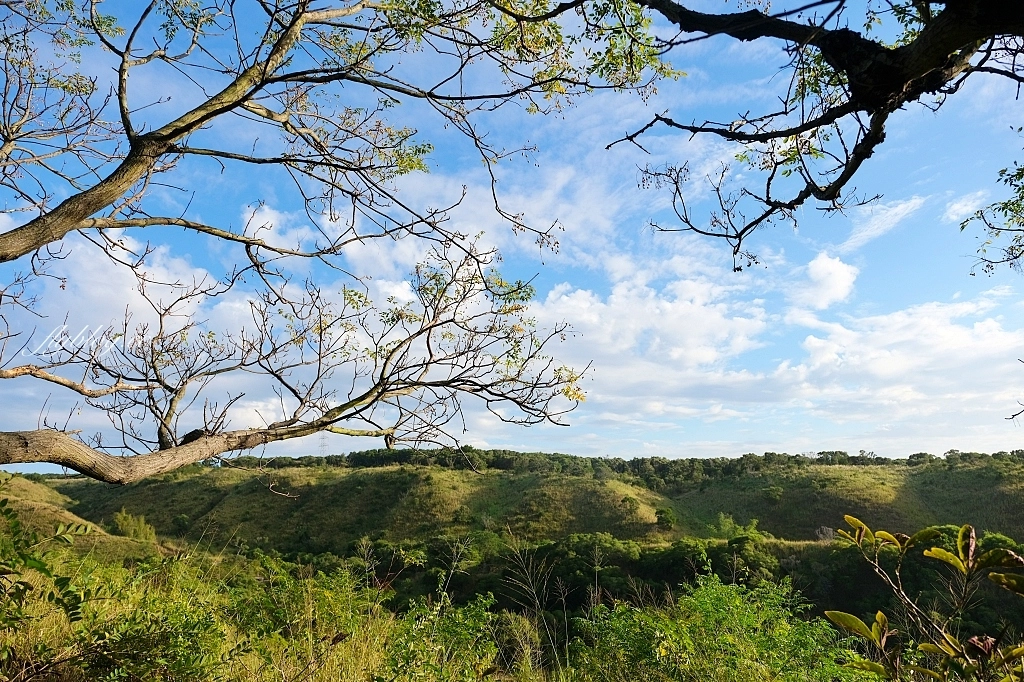 台中龍井｜竹坑南寮登山步道．全長5500公尺古道，享受山林鬱鬱蔥蔥遼闊視野 @飛天璇的口袋