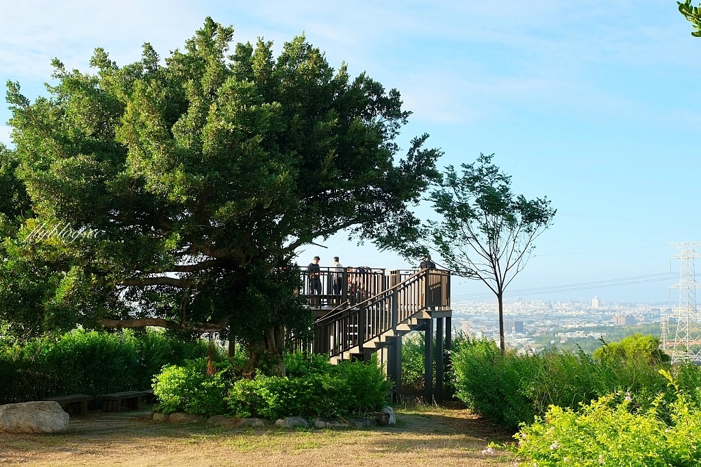 台中龍井｜竹坑南寮登山步道．全長5500公尺古道，享受山林鬱鬱蔥蔥遼闊視野 @飛天璇的口袋