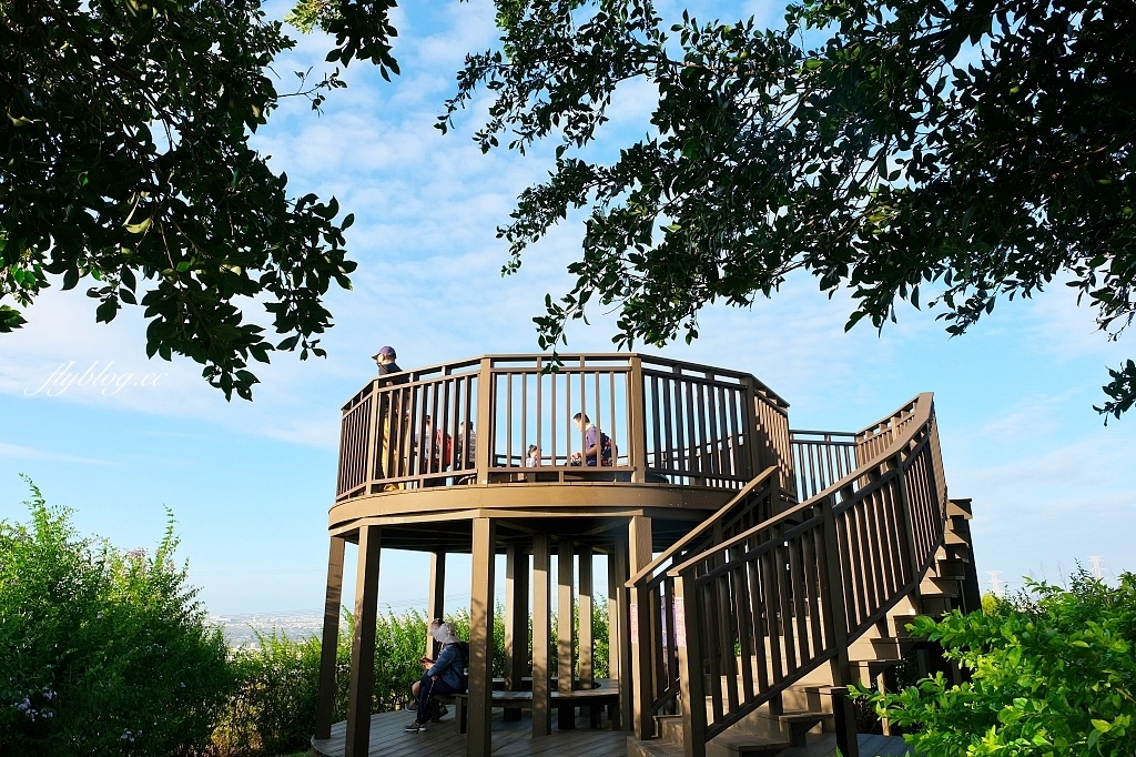 台中龍井｜竹坑南寮登山步道．全長5500公尺古道，享受山林鬱鬱蔥蔥遼闊視野 @飛天璇的口袋