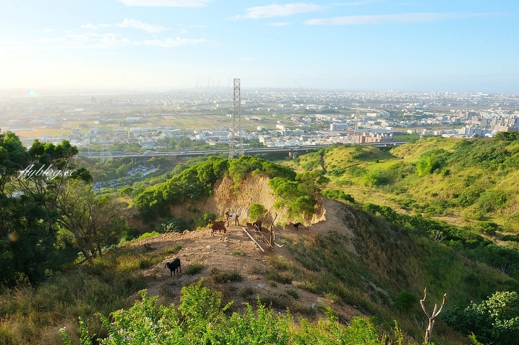 台中龍井｜竹坑南寮登山步道．全長5500公尺古道，享受山林鬱鬱蔥蔥遼闊視野 @飛天璇的口袋