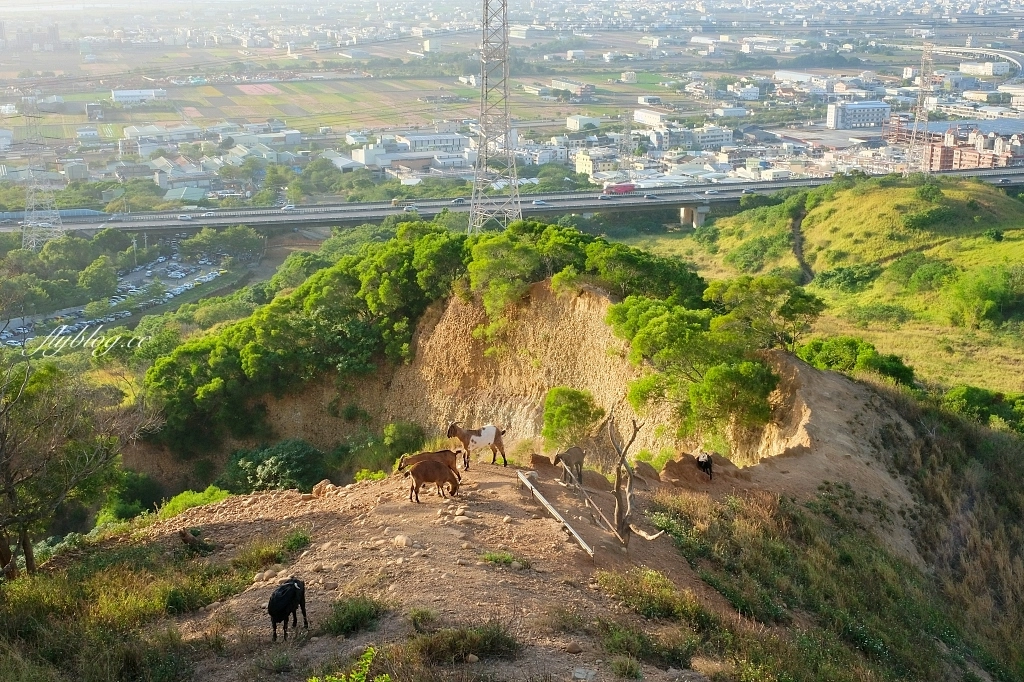 台中龍井｜竹坑南寮登山步道．全長5500公尺古道，享受山林鬱鬱蔥蔥遼闊視野 @飛天璇的口袋
