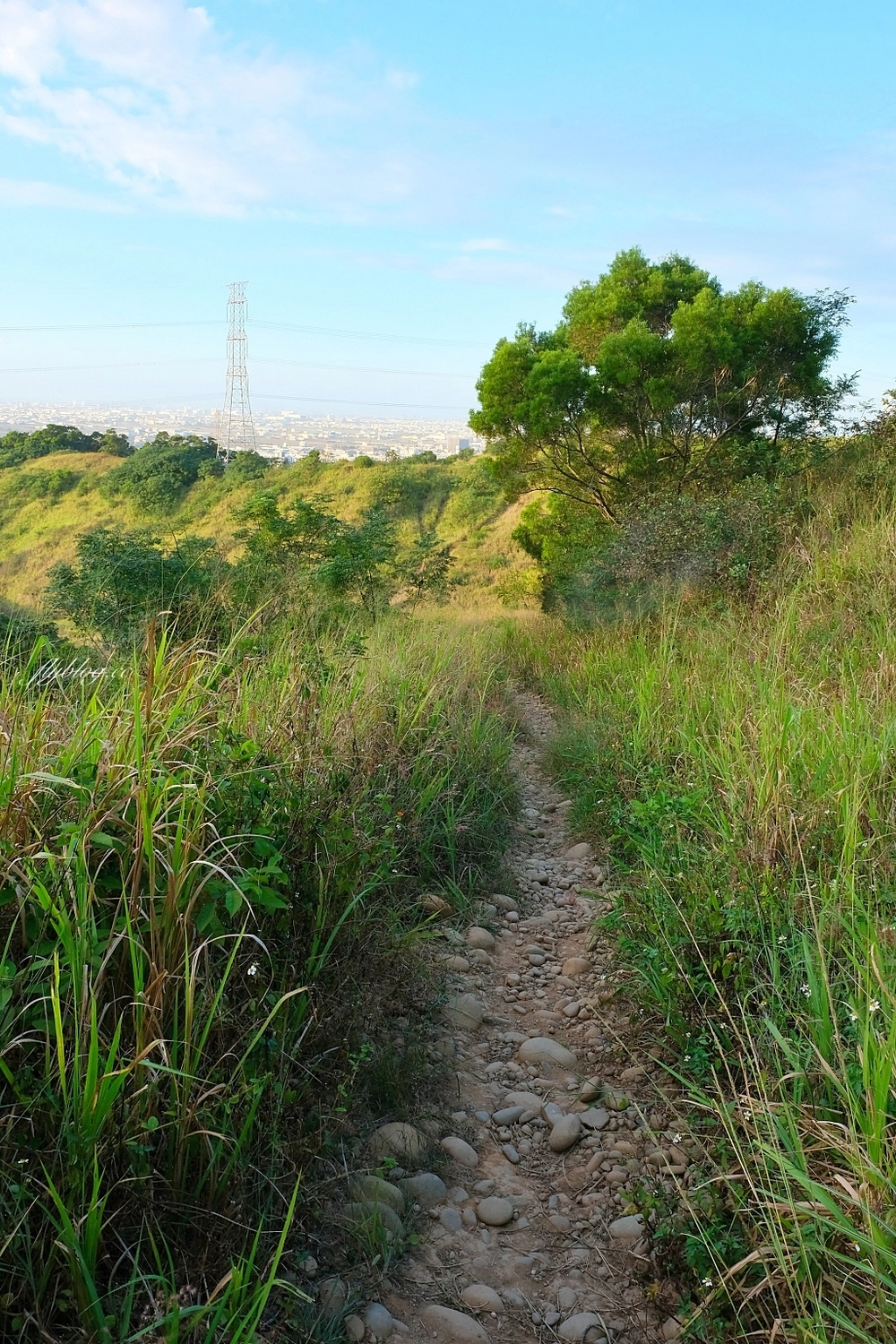 台中龍井｜竹坑南寮登山步道．全長5500公尺古道，享受山林鬱鬱蔥蔥遼闊視野 @飛天璇的口袋