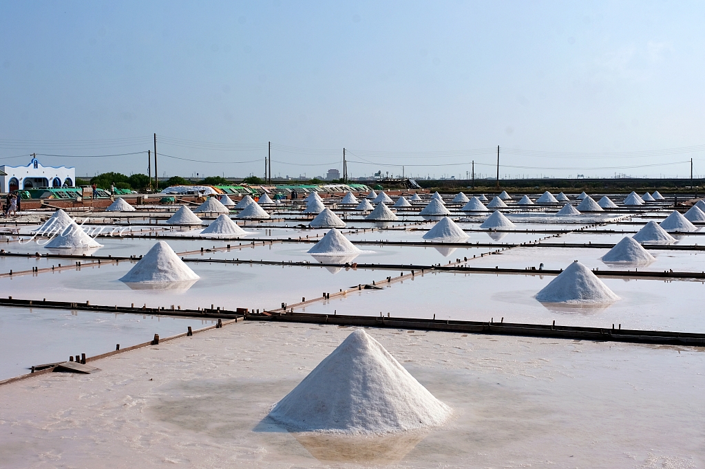 雲嘉南濱海地區｜雲嘉南一日遊，全台首輛鳥類主題專車亮相，搭乘台灣好行西濱快線一日遊 @飛天璇的口袋