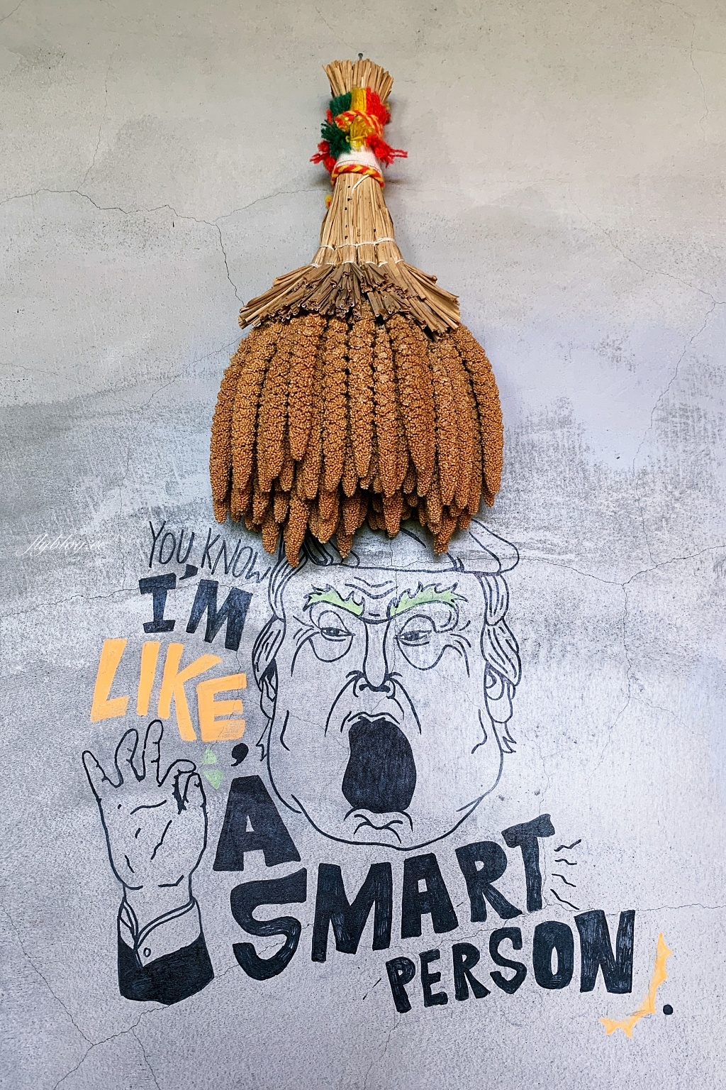 熊轉家田咖喱｜霧峰田野間的咖哩專賣店，座擁整片落地窗綠色稻田景觀 @飛天璇的口袋