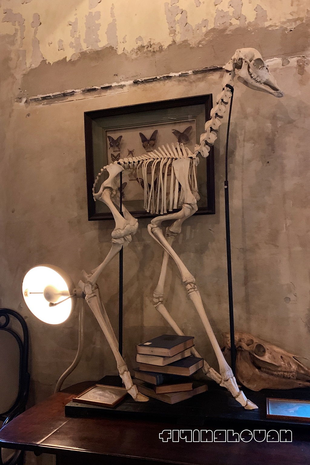 泰國曼谷｜The Mustang Blu，19世紀銀行改建，曼谷老宅建築餐廳的咖啡館與飯店 @飛天璇的口袋