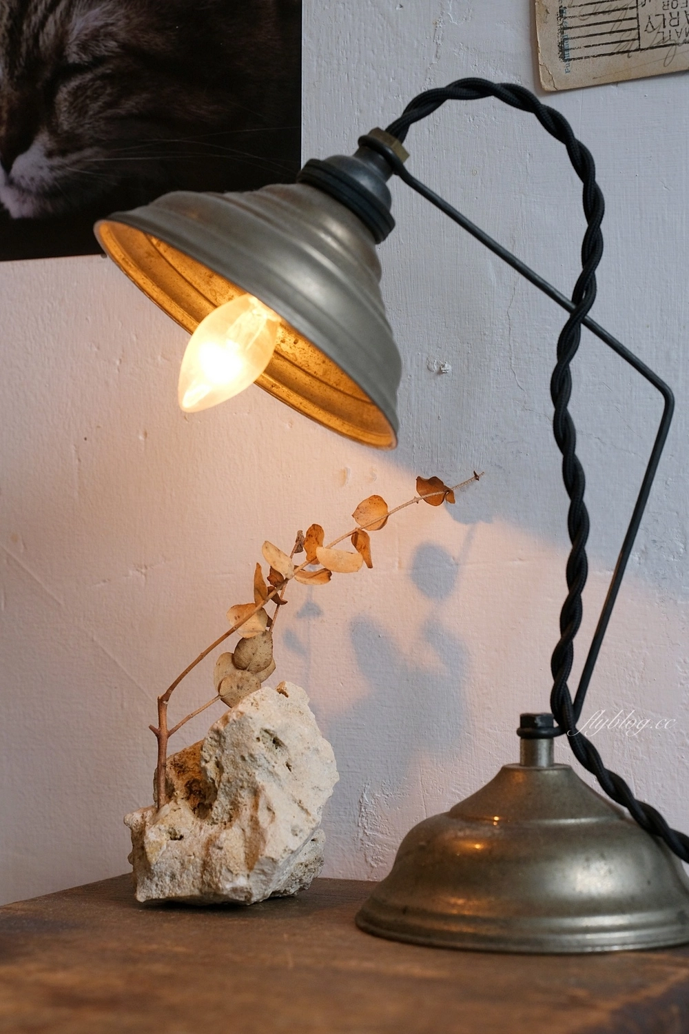 台中西區｜來森もり，精明商圈巷弄裡的咖啡館，品嚐用心的手作甜點，必點戚風蛋糕 @飛天璇的口袋