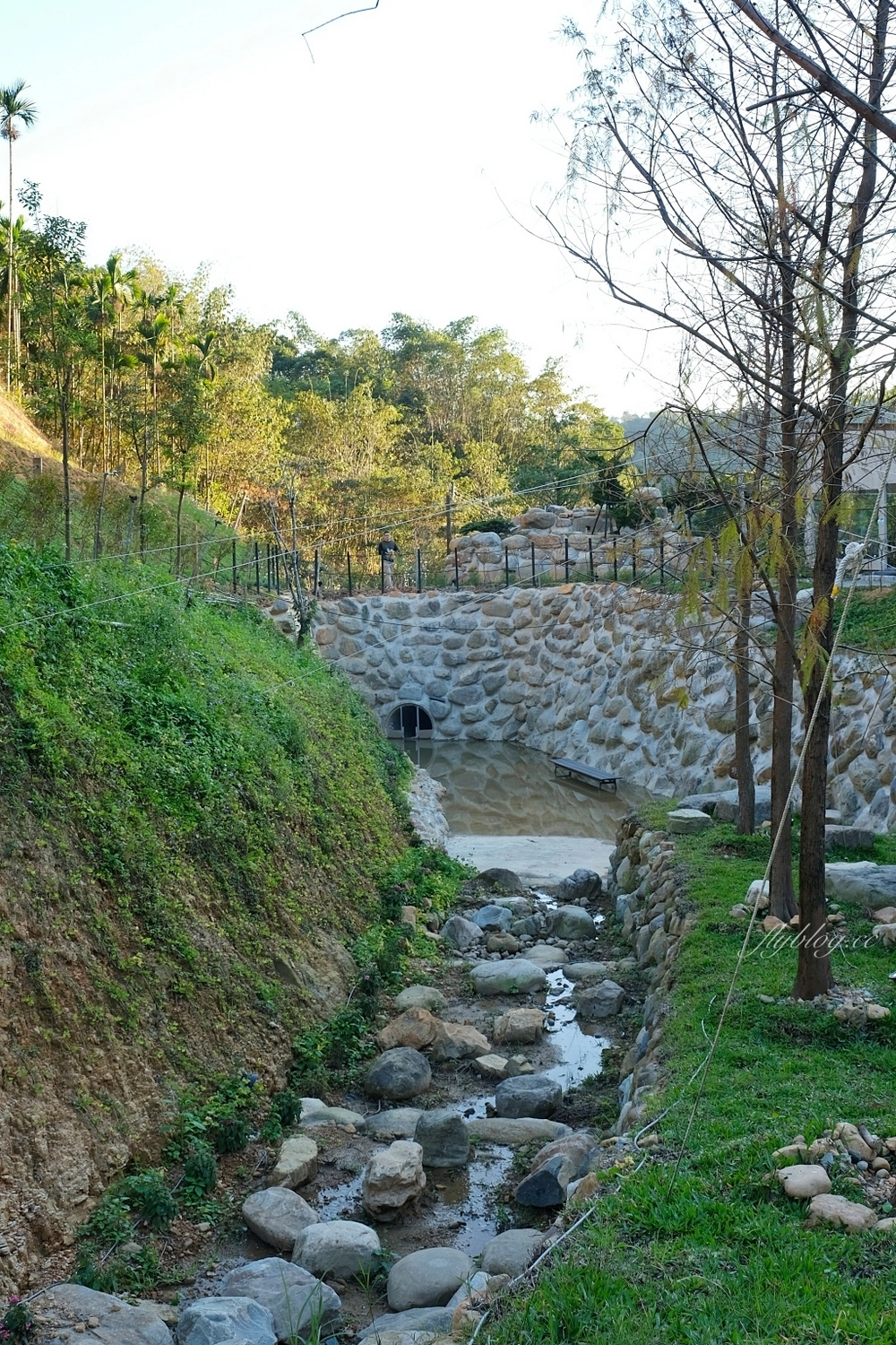 南投埔里｜葉子祕境森林住宿，桃米村森林帳篷式民宿，潺潺流水蟲鳴鳥叫生態環境，日月潭最新景點推薦 @飛天璇的口袋