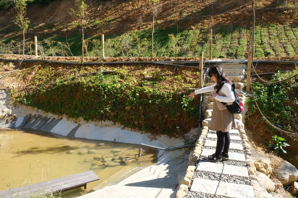 南投埔里｜葉子祕境森林住宿，桃米村森林帳篷式民宿，潺潺流水蟲鳴鳥叫生態環境，日月潭最新景點推薦 @飛天璇的口袋