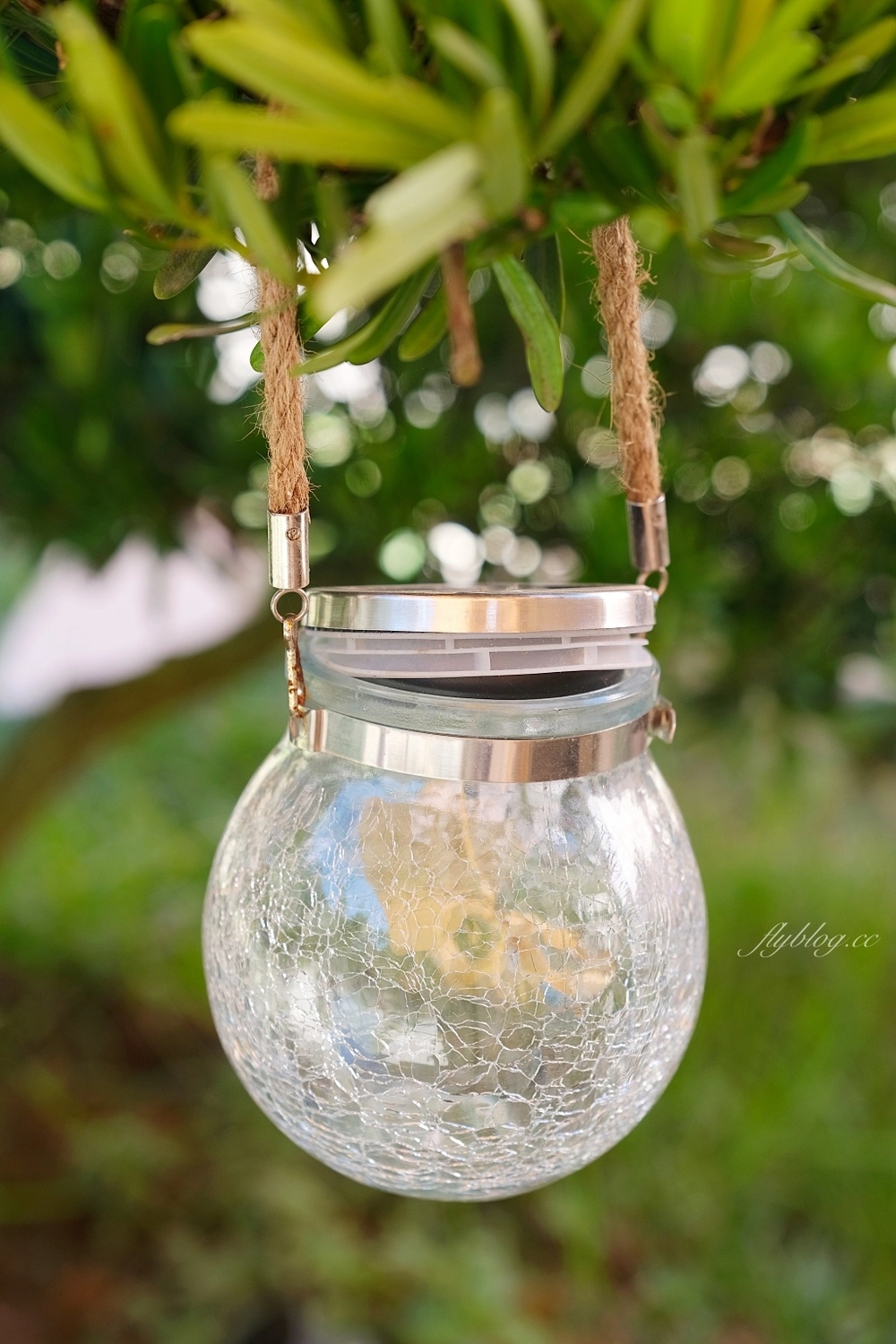 南投埔里｜葉子祕境森林住宿，桃米村森林帳篷式民宿，潺潺流水蟲鳴鳥叫生態環境，日月潭最新景點推薦 @飛天璇的口袋