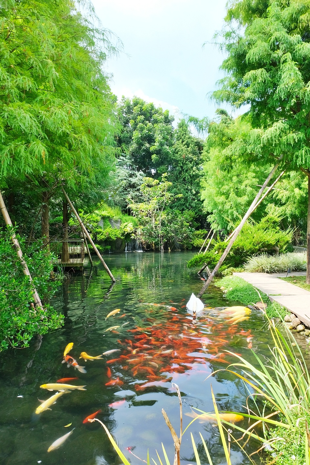 台中新社｜新社美食景點一日遊．30+新社景觀餐廳、旅遊景點、小吃美食、民宿推薦 @飛天璇的口袋