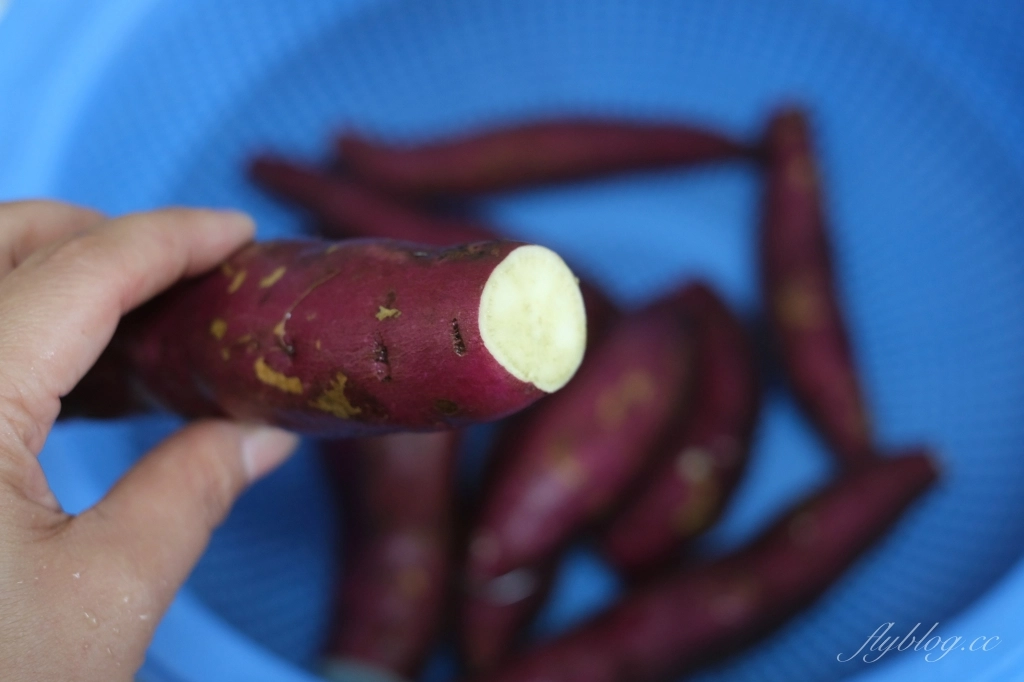 食譜分享｜烤地瓜．用氣炸烤箱烤地瓜，簡單方便又美味 @飛天璇的口袋