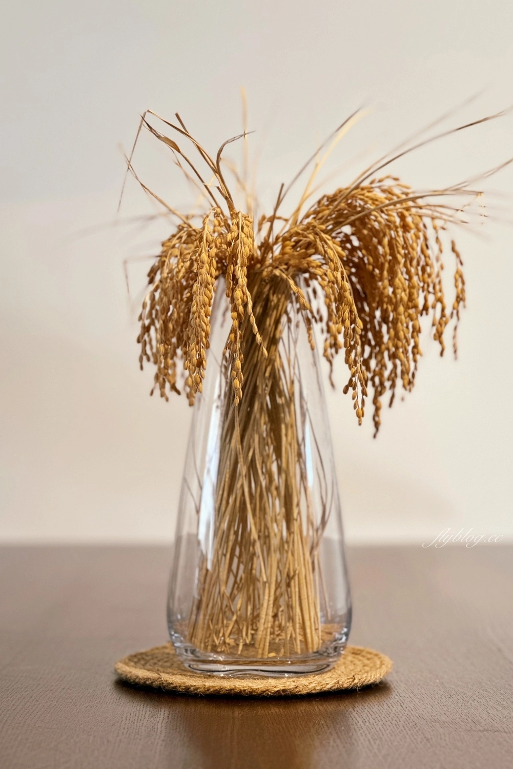 青子Aoko｜南屯復古結合台日元素的義法料理專賣店，吃得到以台中名產麻薏入菜的甜點 @飛天璇的口袋