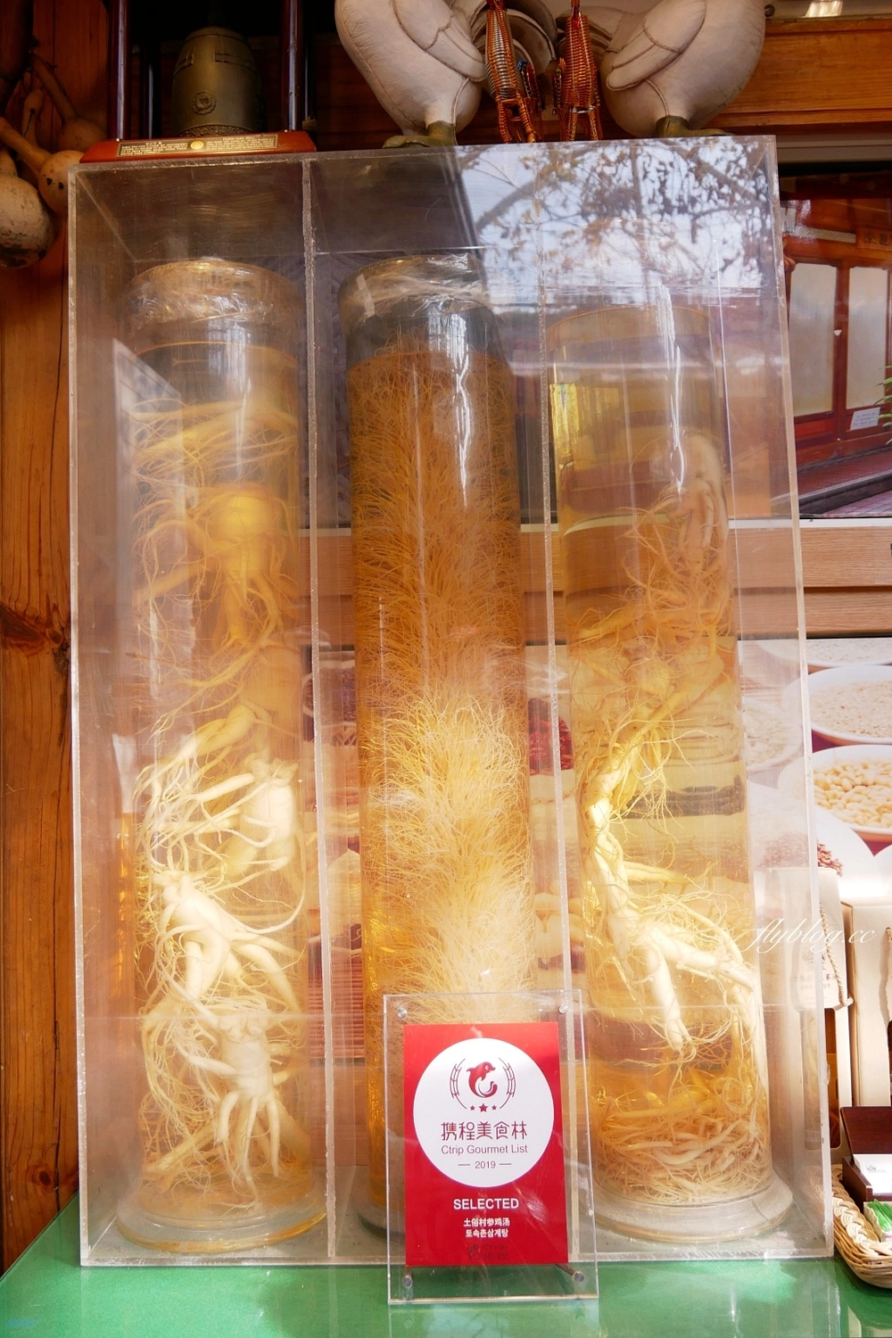 韓國首爾｜土俗村蔘雞湯｜首爾景福宮地鐵美食，連韓國總統都來朝聖 @飛天璇的口袋