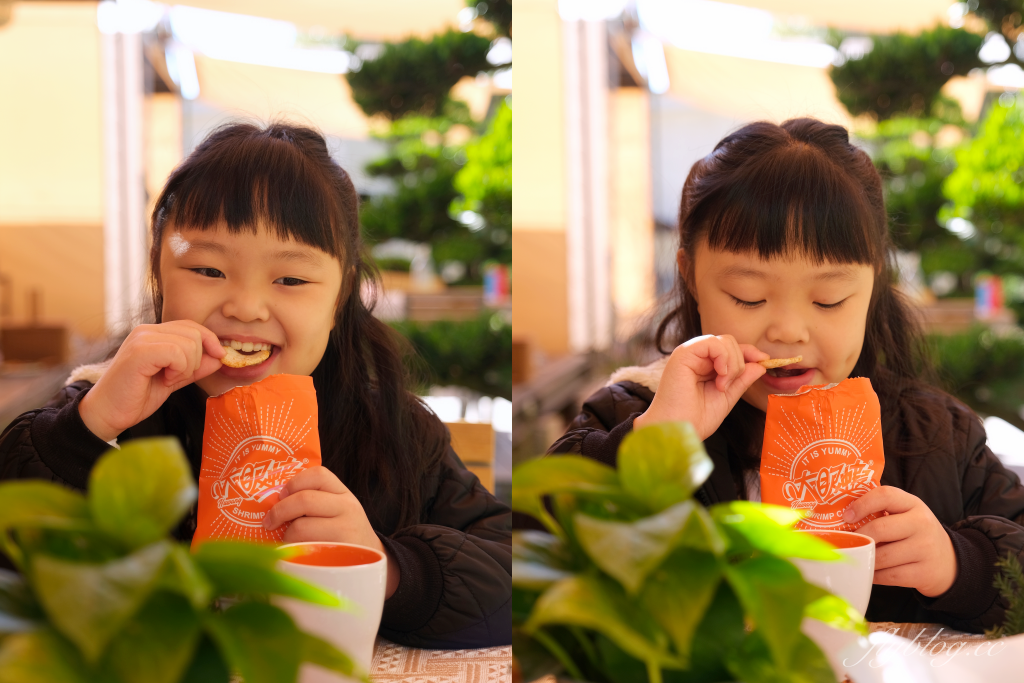 大眼蝦x江記華隆｜兩大品牌聯名出擊！超好吃的江記華隆肉鬆蝦餅，一口接一口吃不停，今年過年送禮就是它 @飛天璇的口袋