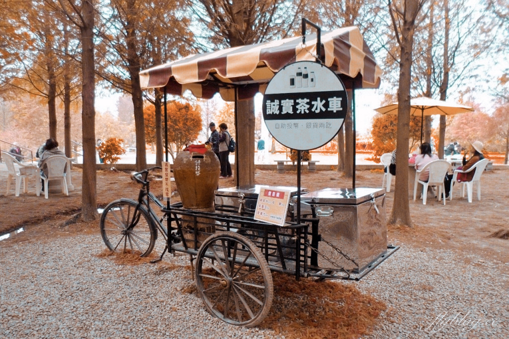 苗栗后里｜泰安落羽松．泰安羽粼落羽松，季節限定IG浪漫打卡秘境 @飛天璇的口袋