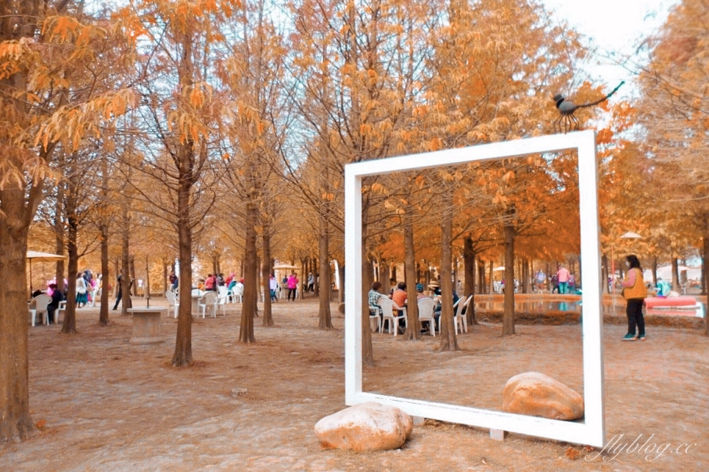 苗栗后里｜泰安落羽松．泰安羽粼落羽松，季節限定IG浪漫打卡秘境 @飛天璇的口袋