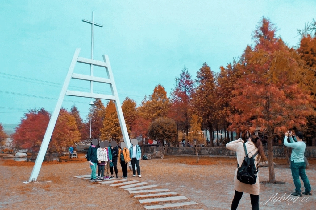 苗栗后里｜泰安落羽松．泰安羽粼落羽松，季節限定IG浪漫打卡秘境 @飛天璇的口袋