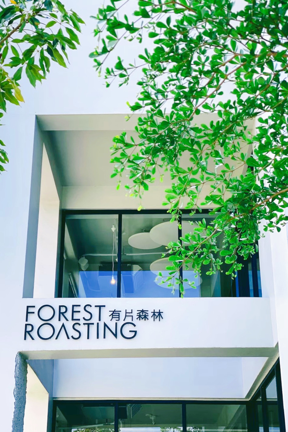 彰化員林｜有片森林「植一座咖啡館」，員林森林系早午餐甜點店，自家烘焙咖啡豆超級有水準 @飛天璇的口袋