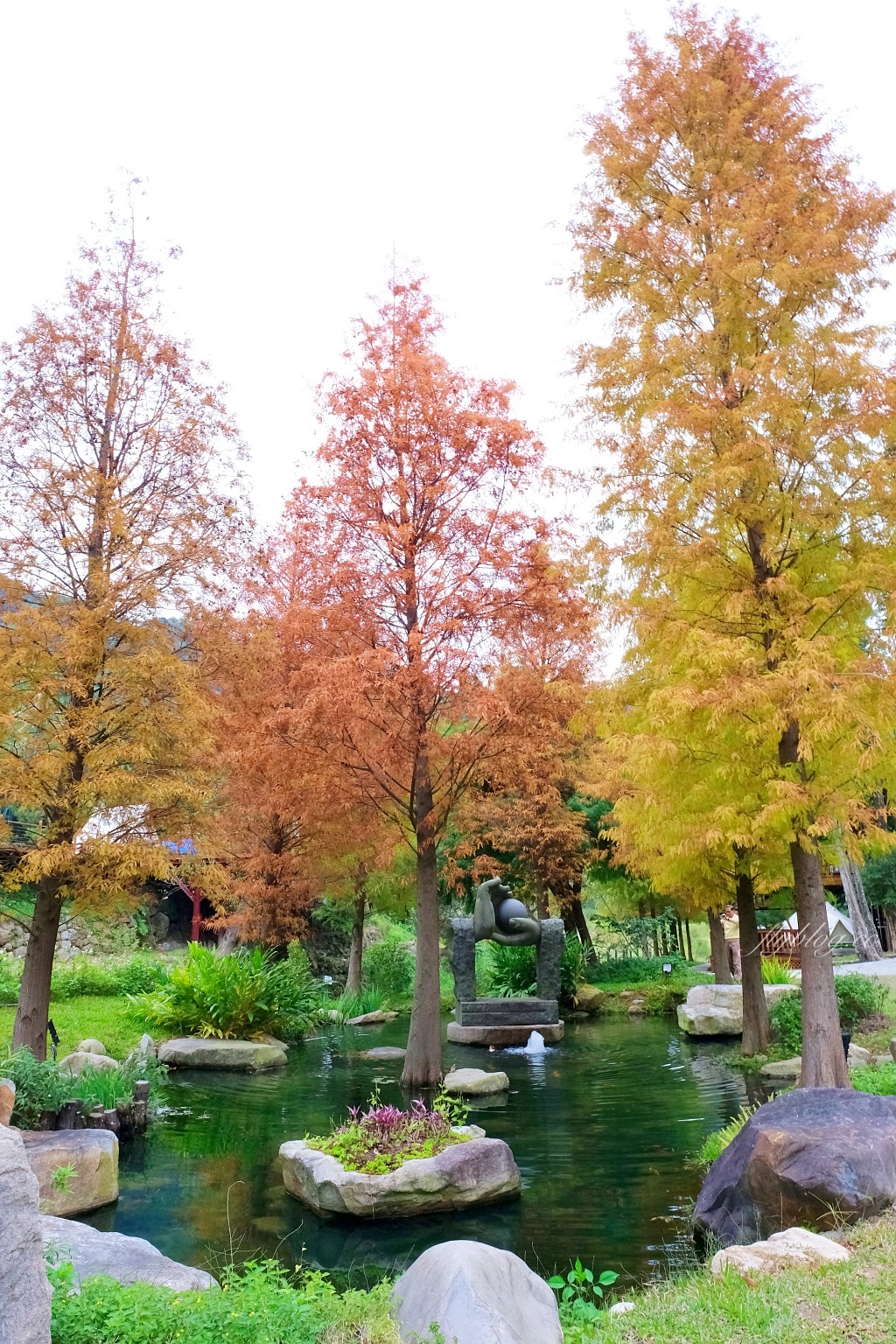 台中新社｜新社景觀餐廳．14+新社景觀餐廳無菜單料理，漫遊台中陽明山吃美食 @飛天璇的口袋