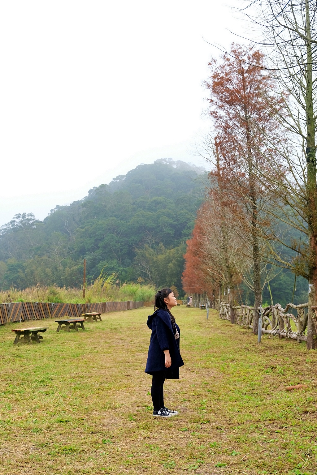 苗栗三義｜映象水岸咖啡，隱身西湖渡假村裡，充滿峇里島風的湖畔咖啡館 @飛天璇的口袋