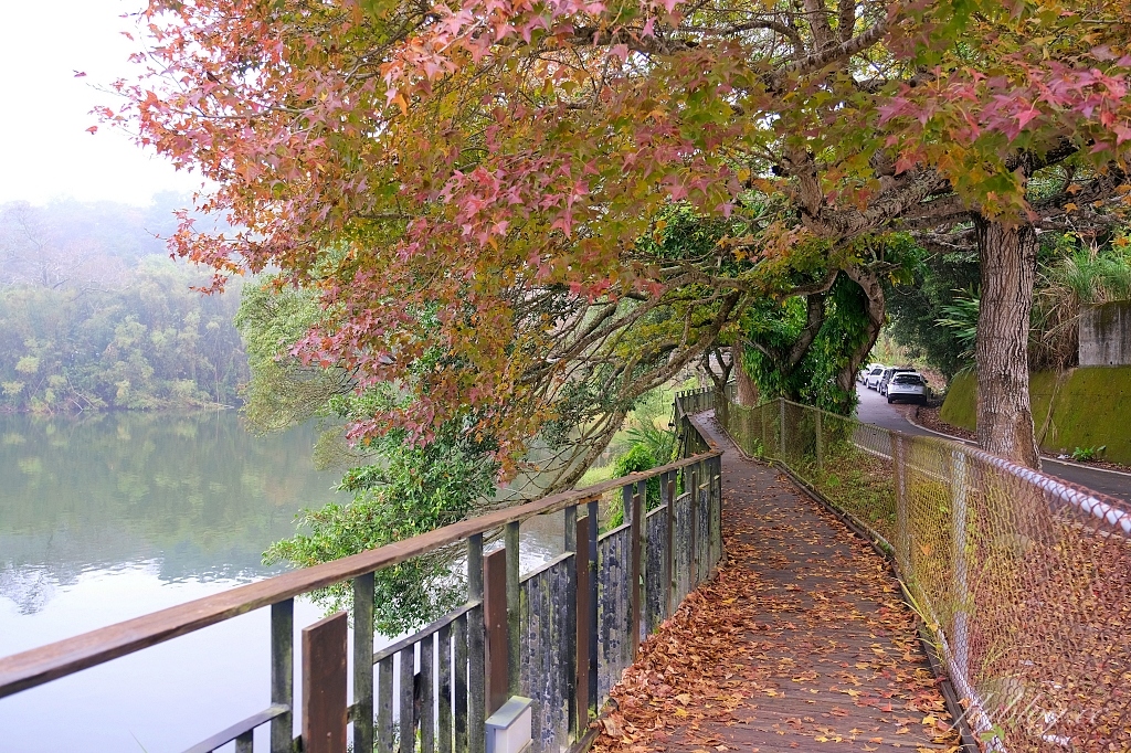 苗栗三義｜映象水岸咖啡，隱身西湖渡假村裡，充滿峇里島風的湖畔咖啡館 @飛天璇的口袋