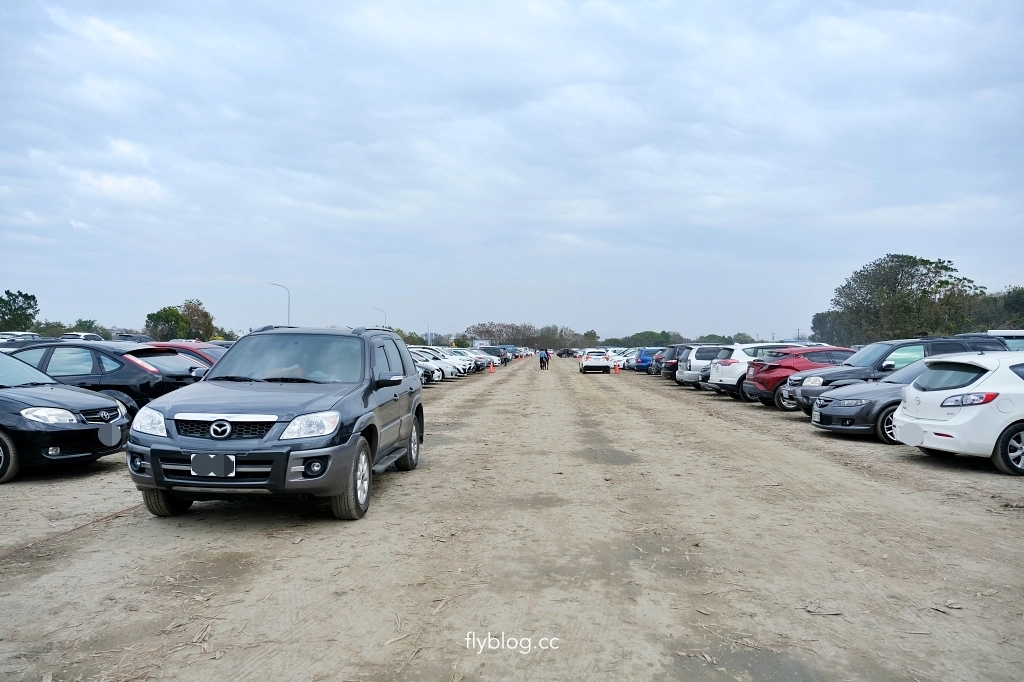 溪州公園｜2023花在彰化，進入愛麗絲夢遊仙境的童話世界 @飛天璇的口袋