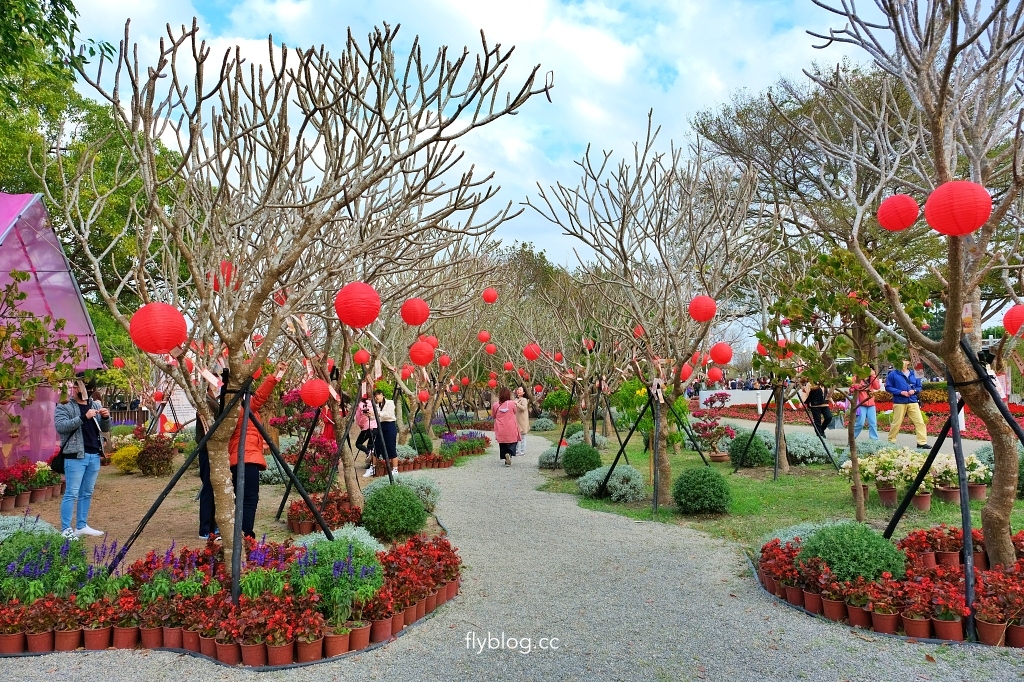 溪州公園｜2023花在彰化，進入愛麗絲夢遊仙境的童話世界 @飛天璇的口袋
