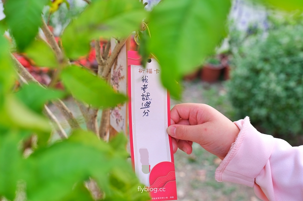 溪州公園｜2023花在彰化，進入愛麗絲夢遊仙境的童話世界 @飛天璇的口袋