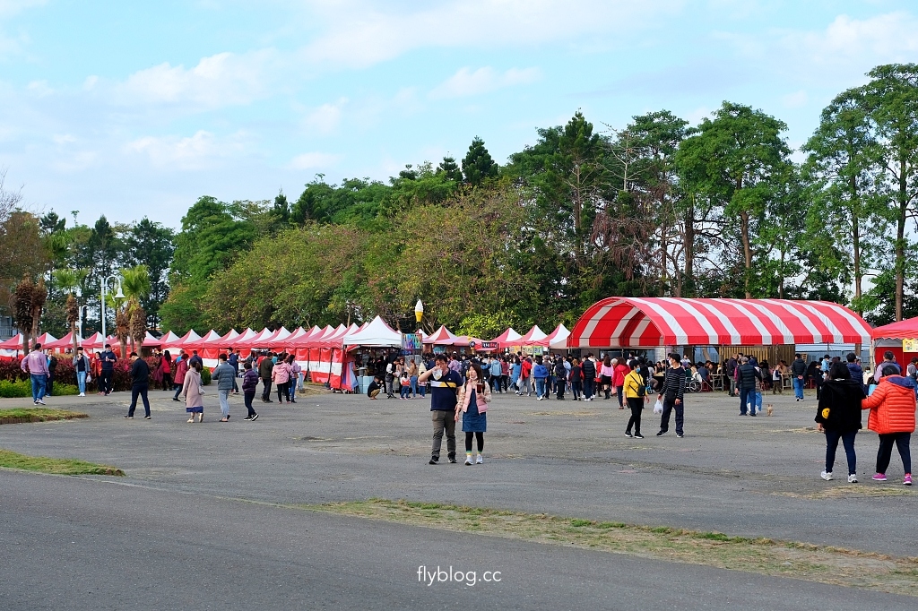 溪州公園｜2023花在彰化，進入愛麗絲夢遊仙境的童話世界 @飛天璇的口袋