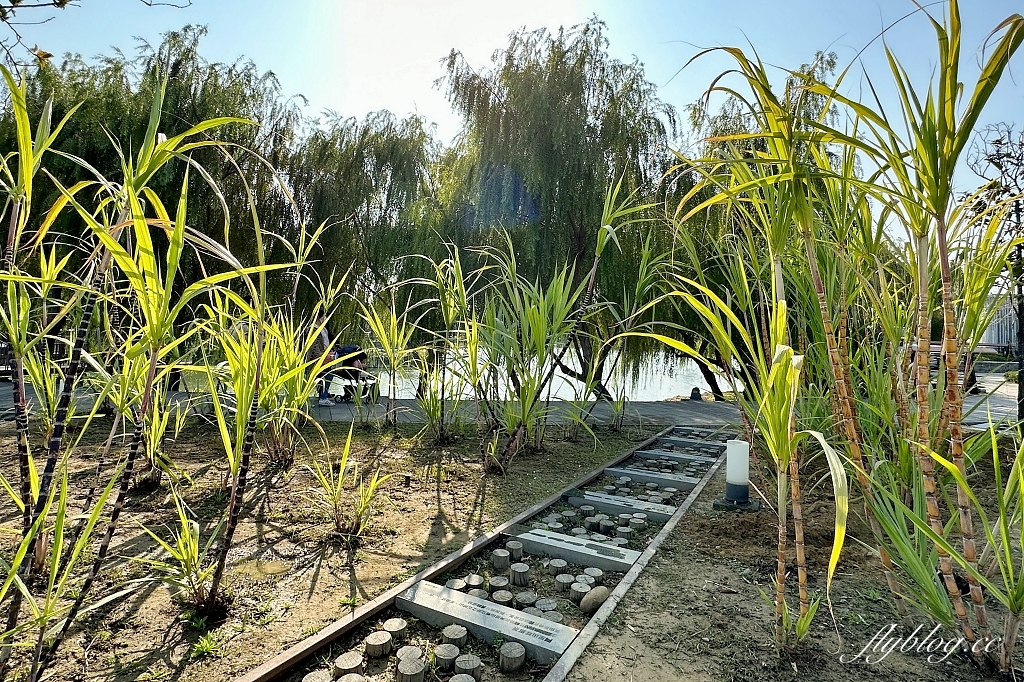 台中東區|湧泉公園.帝國製糖廠6公頃湖濱公園,歷史古蹟變得很悠閒 @飛天璇的口袋 台中東區|湧泉公園.帝國製糖廠6公頃湖濱公園,歷史古蹟變得很悠閒 @飛天璇的口袋