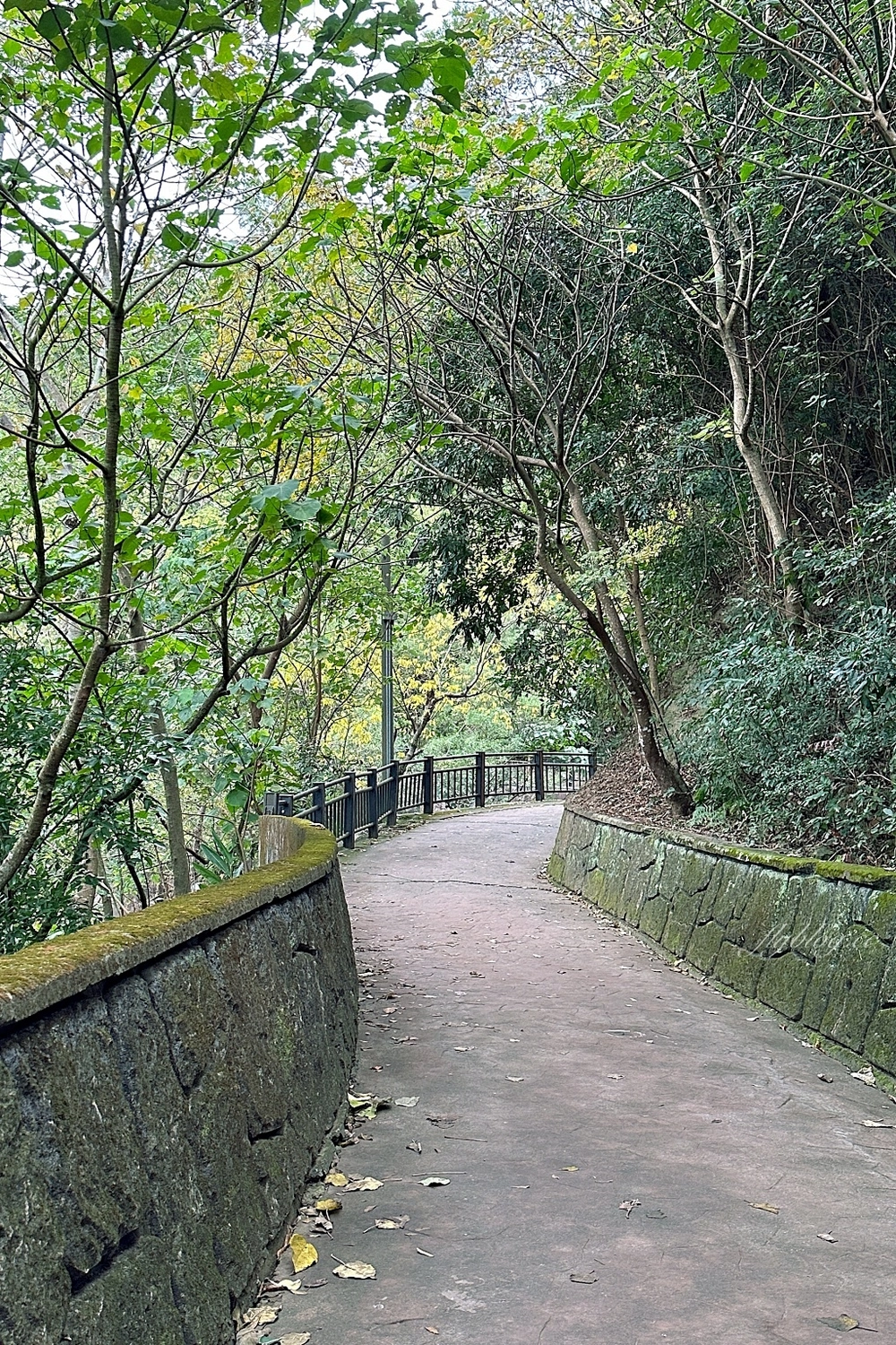台中北屯｜大坑7號步道．全長1.3公里連接風動石公園，還有小朋友最愛的兒童遊樂園 @飛天璇的口袋