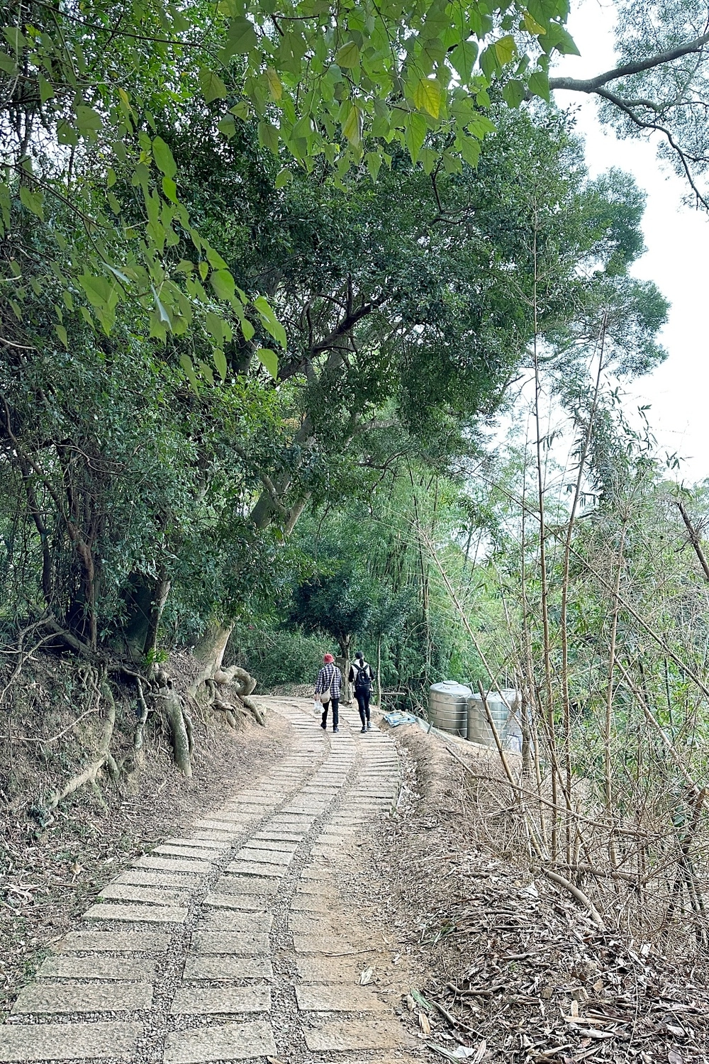 台中北屯｜大坑7號步道．全長1.3公里連接風動石公園，還有小朋友最愛的兒童遊樂園 @飛天璇的口袋