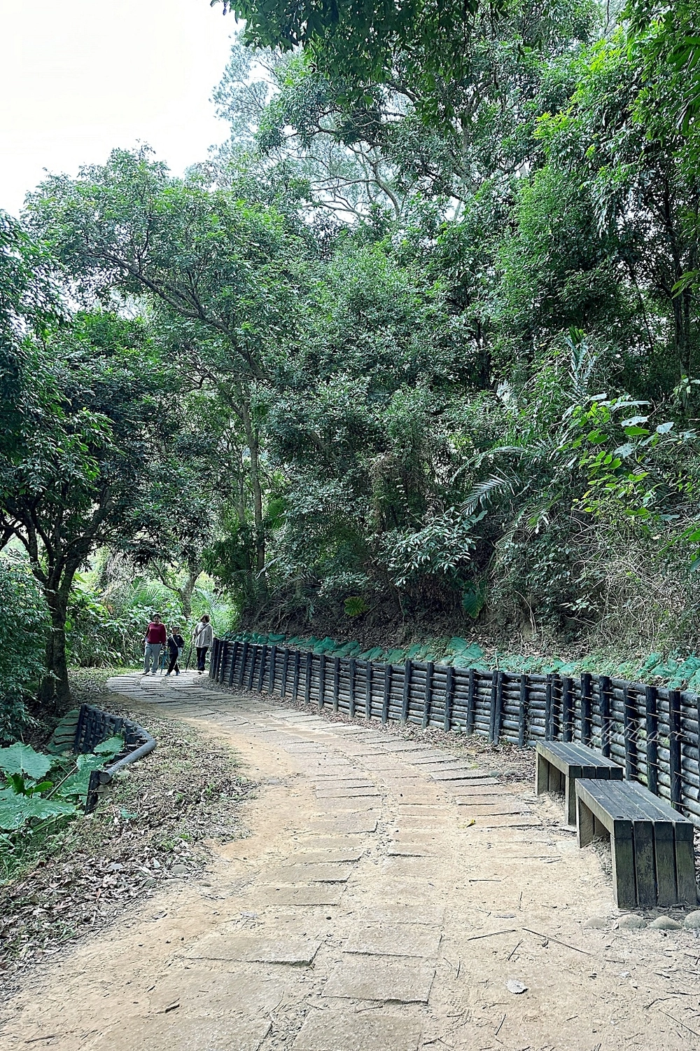 台中北屯｜大坑7號步道．全長1.3公里連接風動石公園，還有小朋友最愛的兒童遊樂園 @飛天璇的口袋