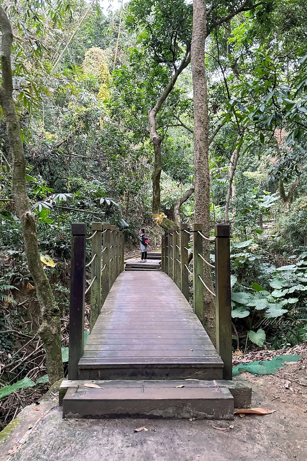 台中北屯｜大坑7號步道．全長1.3公里連接風動石公園，還有小朋友最愛的兒童遊樂園 @飛天璇的口袋