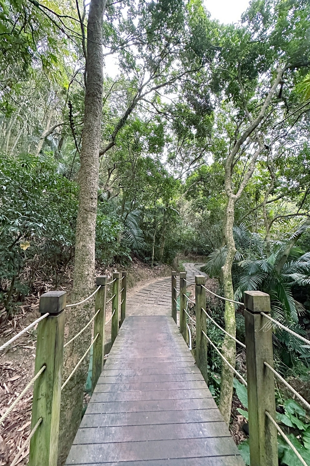台中北屯｜大坑7號步道．全長1.3公里連接風動石公園，還有小朋友最愛的兒童遊樂園 @飛天璇的口袋