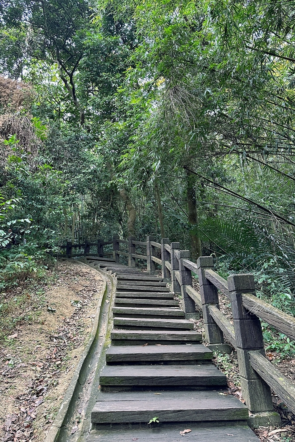 台中北屯｜大坑7號步道．全長1.3公里連接風動石公園，還有小朋友最愛的兒童遊樂園 @飛天璇的口袋