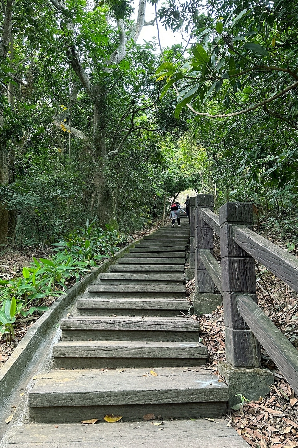 台中北屯｜大坑7號步道．全長1.3公里連接風動石公園，還有小朋友最愛的兒童遊樂園 @飛天璇的口袋