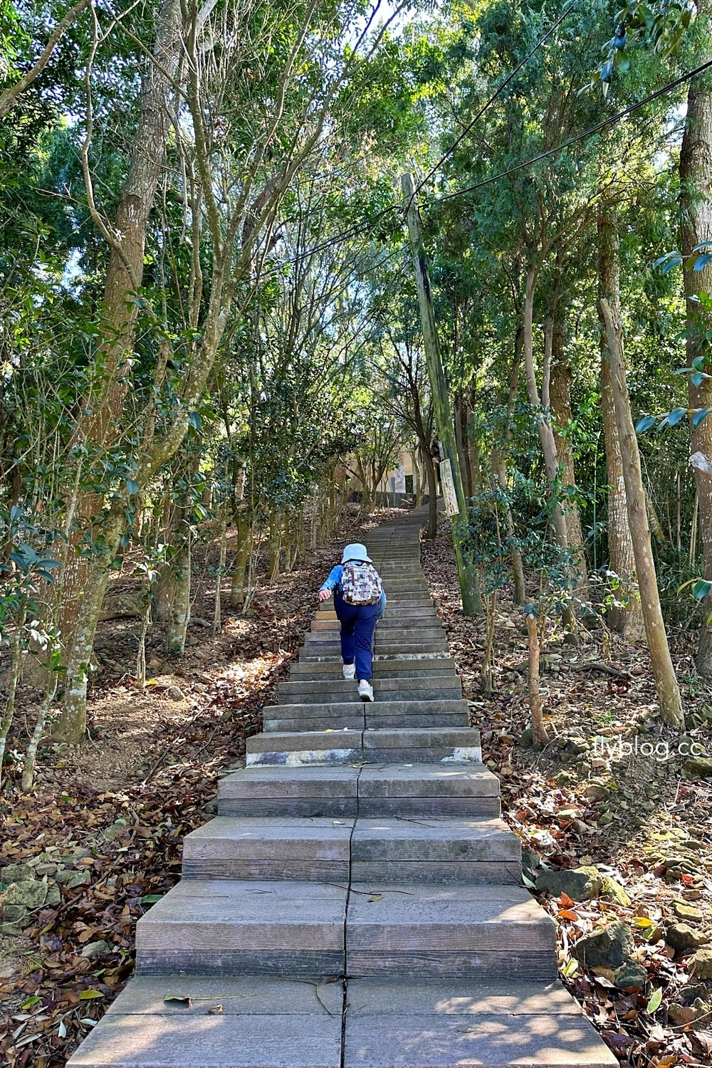 台中后里｜鳳凰山步道．沿路許多涼亭和觀景台，路線好走又有林蔭遮敝 @飛天璇的口袋