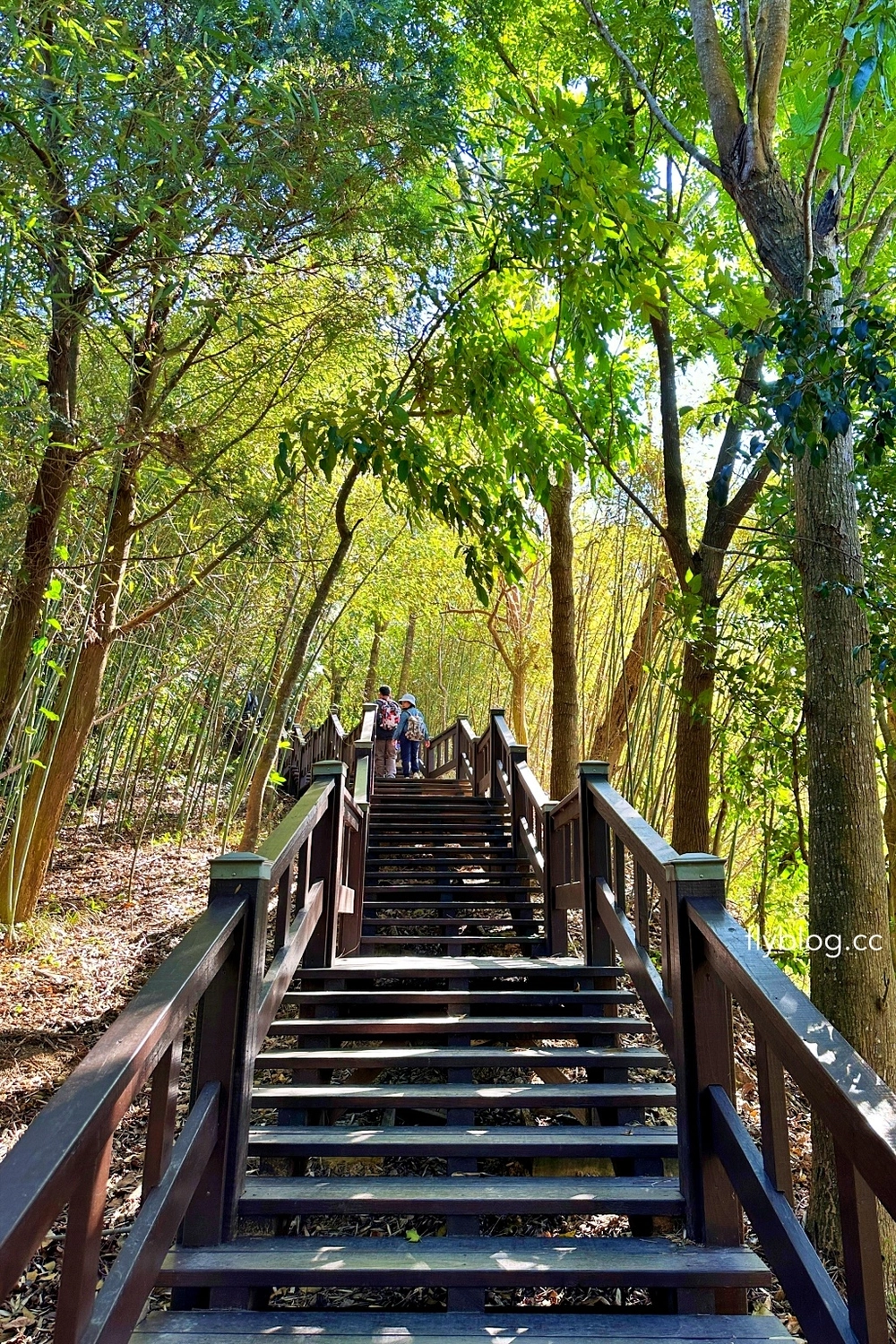 台中后里｜鳳凰山步道．沿路許多涼亭和觀景台，路線好走又有林蔭遮敝 @飛天璇的口袋