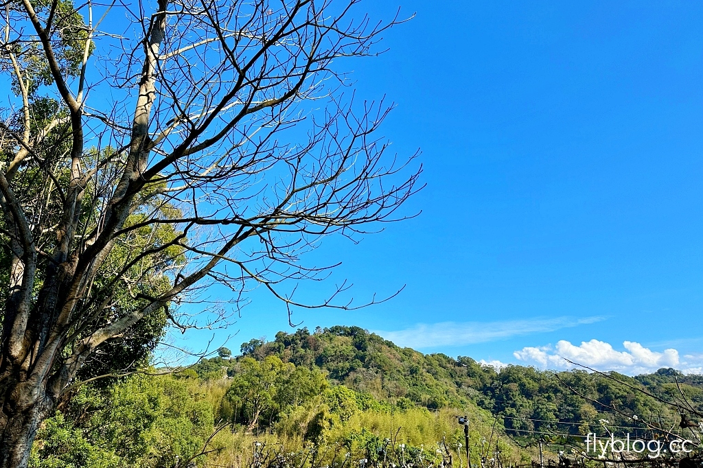 台中后里｜鳳凰山步道．沿路許多涼亭和觀景台，路線好走又有林蔭遮敝 @飛天璇的口袋
