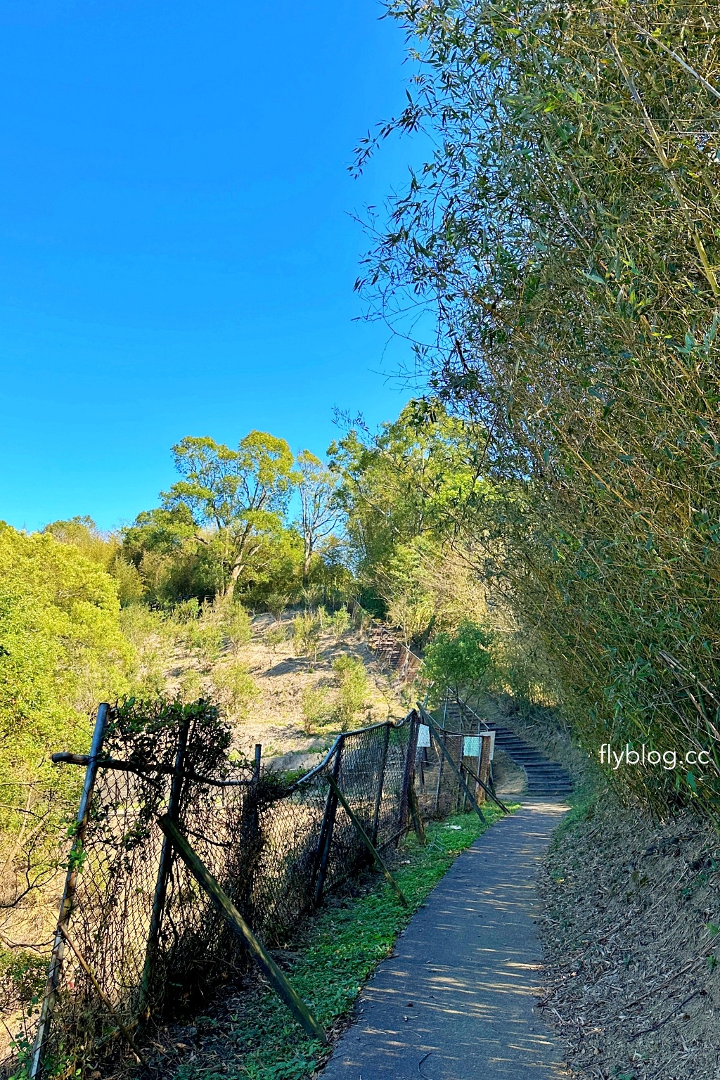 台中后里｜鳳凰山步道．沿路許多涼亭和觀景台，路線好走又有林蔭遮敝 @飛天璇的口袋