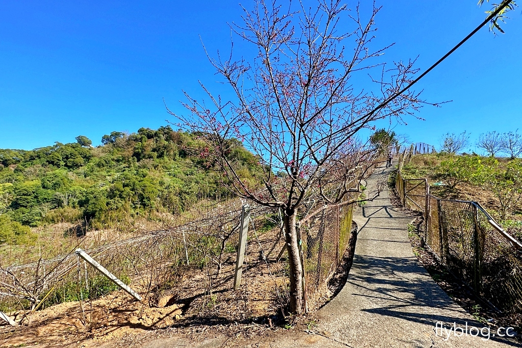 台中后里｜鳳凰山步道．沿路許多涼亭和觀景台，路線好走又有林蔭遮敝 @飛天璇的口袋