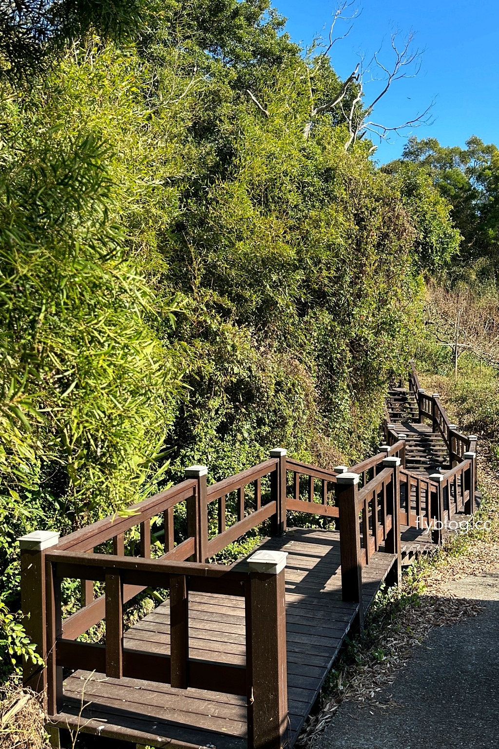台中后里｜鳳凰山步道．沿路許多涼亭和觀景台，路線好走又有林蔭遮敝 @飛天璇的口袋