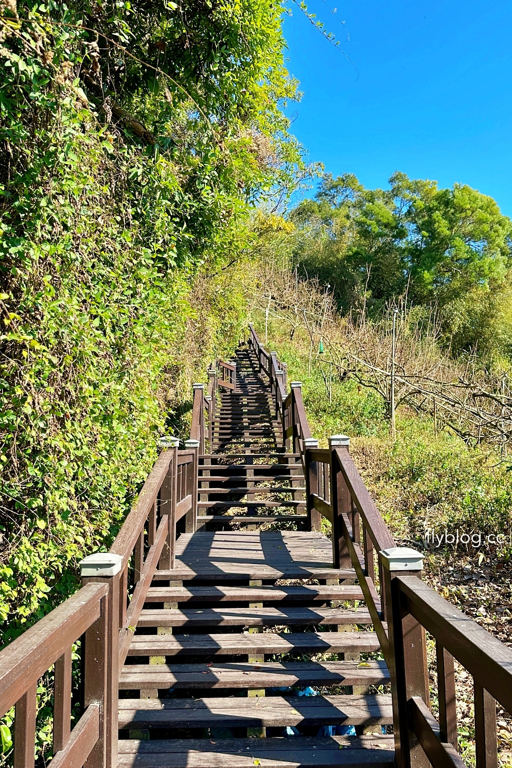 台中后里｜鳳凰山步道．沿路許多涼亭和觀景台，路線好走又有林蔭遮敝 @飛天璇的口袋