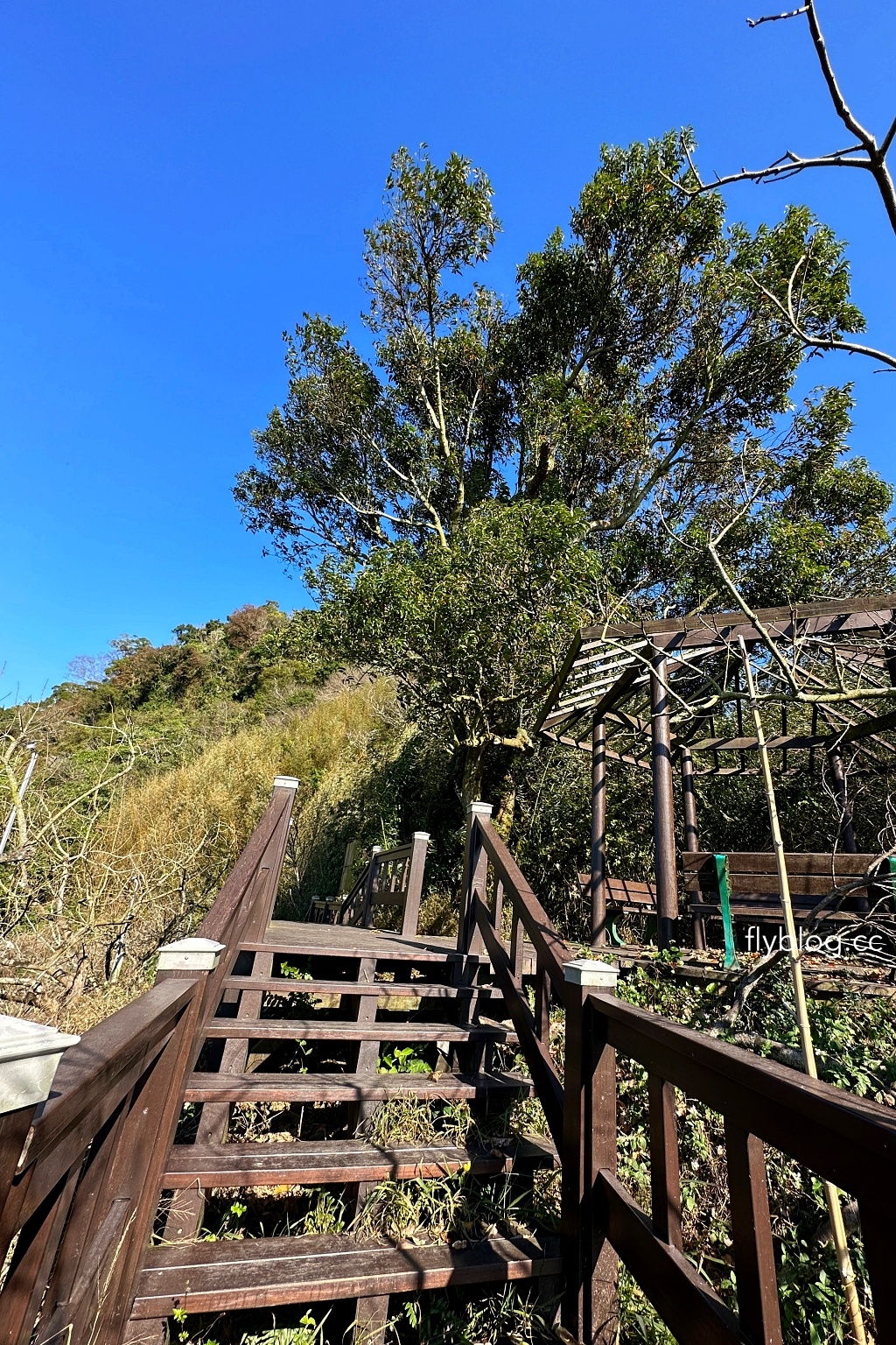 台中后里｜鳳凰山步道．沿路許多涼亭和觀景台，路線好走又有林蔭遮敝 @飛天璇的口袋